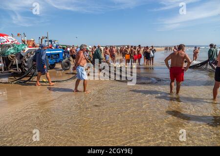 Costa da Caparica, Portugal - 10. September 2020: Eine Kunst der Fischer Schleppnetzfischfang vom touristischen Strand mit einem Traktor. Urlauber beobachten und hellen Stockfoto