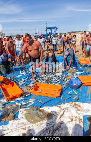 Costa da Caparica, Portugal - 10. September 2020: Eine Kunst der Fischer Schleppnetzfischfang vom touristischen Strand mit einem Traktor. Urlauber beobachten und hellen Stockfoto