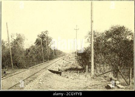 . Die Straßenbahn Zeitschrift . EIN BEISPIEL FÜR DEN BRÜCKENBAU AUF DER PETALUMA & SANTA ROSA EISENBAHN nördlich von San Francisco Bay, mit dem es Gezeitenwasserverbindung hat. Das Unternehmen verfügt an dieser Stelle über ein großes Lager und Terminals Werften an der Wasserfront, und jede Anlage für die Abwicklung großer Mengen von Fracht. Es besitzt den SteamerGold und chartert einen anderen Dampfer gleicher Kapazität. Bothmake Tagesausflüge nach San Francisco, eine Entfernung von 40 Meilen.Verlassen Petaluma die Strecke der Firma Parallelen die EINE FIXE STRECKE AUF DER LINIE ZU SANTA ROSA Obst und Beeren aller Art. Bei Grün Stockfoto