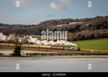 BR 'A4' 4-6-2 No. 60009 'Union of South Africa' Pässe bei Abinger Hammer in Surrey, England, UK Stockfoto