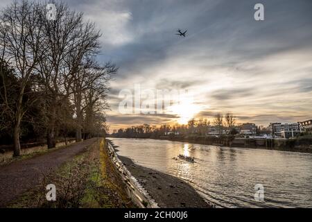 Ruderer auf der Themse in Kew, West London Stockfoto