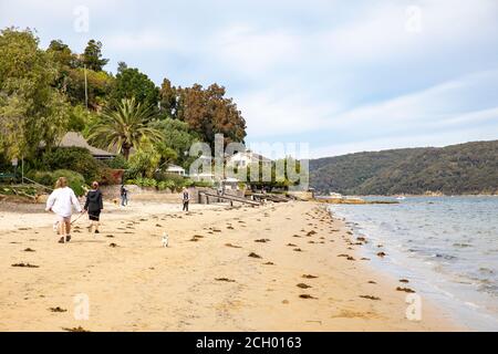 Sydney Bewohner trainieren ihre Hunde in Sandy Point in Palm Strand auf einem gemütlichen Sonntagmorgen Spaziergang, Australien Stockfoto