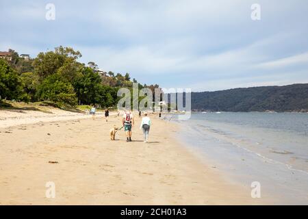 Sydney Bewohner trainieren ihre Hunde in Sandy Point in Palm Strand auf einem gemütlichen Sonntagmorgen Spaziergang, Australien Stockfoto