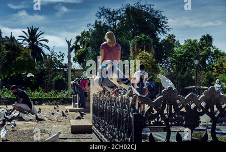 Tauben und Tauben stehen auf einem eisernen Zaun an der Plaza de América, Maria Luisa Park mit Touristen im Hintergrund Stockfoto