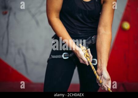 Beschnittene Ansicht der weiblichen Klettererin gebräunte muskulöse Hände, die Sicherheitsgeschirr und Klettergeräte im Fitness-Kletterpark tragen, Nahaufnahme Stockfoto