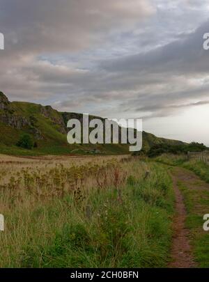 Der Fußweg und der Weg, der zum Ecclesgreig Begräbnisplatz am Fuße der dramatischen Klippen im St Cyrus National Nature Reserve führt. Stockfoto