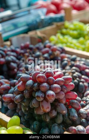 Trauben von roten Trauben auf der Theke des Bauernmarktes. Die Trauben werden für den Verkauf vorbereitet. Trauben geerntet Kisten zum Verkauf. Hintergrund Stockfoto