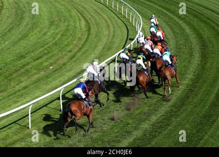 Eine allgemeine Ansicht von Läufern und Fahrern, wie sie die Kurve in den Schildern Express Handicap (Div 1) in Bath Rennbahn nehmen. Stockfoto