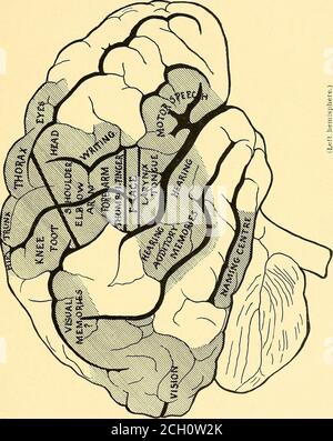 . Eisenbahn und andere Unfälle im Zusammenhang mit Verletzungen und Erkrankungen des Nervensystems : ein Buch für den Einsatz vor Gericht . Eisenbahn ano andere Accidi.NT.s. DIAGRAMM I.. Stockfoto