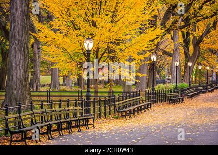 Central Park in der Mall in New York City im Herbst während der Dämmerung. Stockfoto