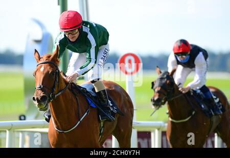 Cayenne Pepper von Jockey Shane Foley geritten gewinnt die Moylare 'Jewels' Blandford Stakes (Gruppe 2) auf Curragh Racecourse. Stockfoto