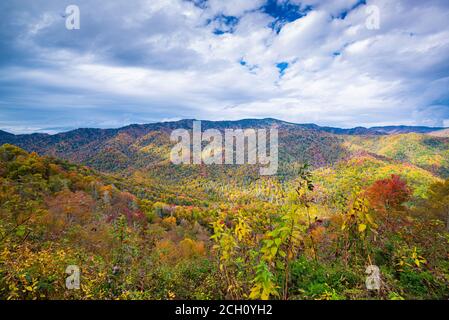 Great Smoky Mountains National Park, Tennessee, USA im Herbst. Stockfoto