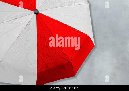 Der Regenschirm in den Farben der neuen Nationalflagge Weißrussland. Konzept Banner der Menschen Protestbewegung Stockfoto