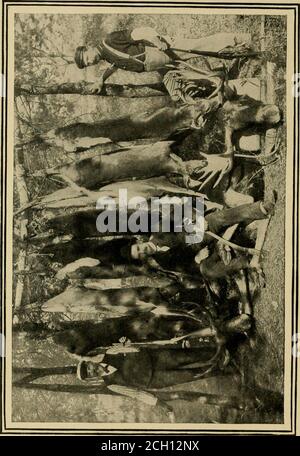 . Im Kiefernwald; ein Handbuch für Sportler und Camper in den großen Maine Wäldern. Raten Sie mal, Rii sei Goii. Wo die Elche sind, 59 Stockfoto