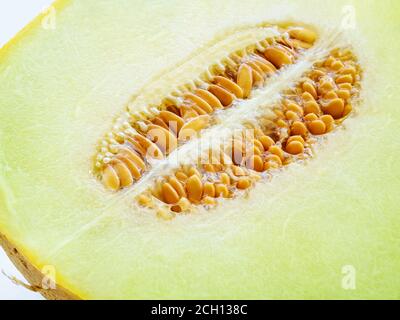 Die Hälfte der reifen Melone mit Samen aus der Nähe. Süßes grünes Fruchtfleisch von saftiger galia Melone. Zutat für Fruchtdesserts. Vegetarische, Rohkost Ernährung. Stockfoto