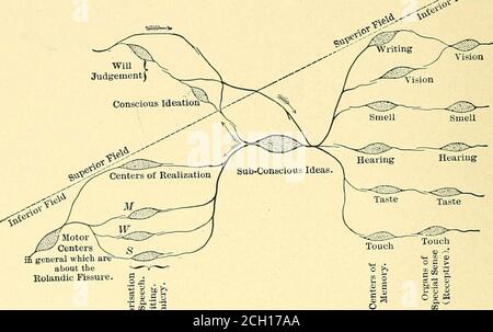 . Eisenbahn und andere Unfälle im Zusammenhang mit Verletzungen und Erkrankungen des Nervensystems : ein Buch für den Einsatz vor Gericht . hatte er an einem Ort zu schrecklich zu beschreiben gewesen , wo er ständig gequält worden war von den Mitarbeitern der Bureau of Incumbrances ; Von seinem Arzt wurde behauptet, dass der hystero-kataleptoide Zustand zurückgekehrt sei und dass sich seine Bedingungen zum Schlechteren stark verändert haben. Dennoch scheint es, dass der youngman später ins Ausland ging und ausreichend gut eine Partei zu neuen Gerichtsverfahren zurückkehrte. Trotz der Tatsache, dass Hysterie eine der dra-matischsten und am häufigsten nervösesten ist Stockfoto