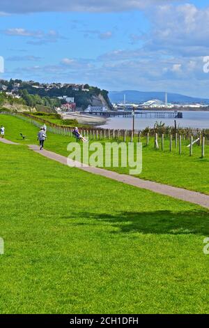 Die Klippe auf den Klippen von Penarth. Blick in Richtung Cardiff Bay mit dem Art Deco Pier in der Ferne. Stockfoto