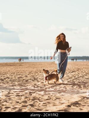 Schöne junge Frau und Corgi Welpen laufen am Strand durch Wasser. Weibliche Wanderung mit Hund am Sonnentag an der Meeresküste. Aktiver Lebensstil, Tierpflege Stockfoto