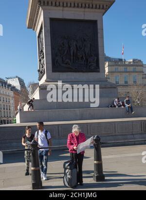 Frau beim Lesen einer Karte am Fuß von Nelson's Column gesehen. Stockfoto