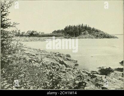 . Das Zentrum von Maine. Ein Tagebuch der Reise . -, steigen direkt vom Meer, und das Bay Point Hotel, auf der Rockland Wellenbrecher, zeigt in angenehmer Prominenz, eine Illustration der großen Karawanen, die für die Unterbringung der Sommerhange errichtet wurden, die häufig Maines glückliche Rückzugsorte. Camden Village ist 13 km entfernt, entlang der Küste. Seine krönende Schönheit ist seine Berge, eine erhabene blaue Strecke, die seit Jahrhunderten ein Wahrzeichen für Segler gewesen sind, die PenobscotBay betreten. Von den fünf Gipfeln sind die von Megunticook (1457 Fuß) und Battie (1325 Fuß) die höchsten. Zwischen den Glens und ar Stockfoto