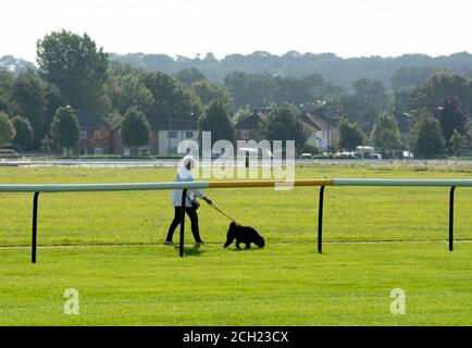 Eine Person, die während der Pandemie 2020 in Covid-19, Warwickshire, England, einen Hund auf der Pferderennbahn Warwick läuft Stockfoto