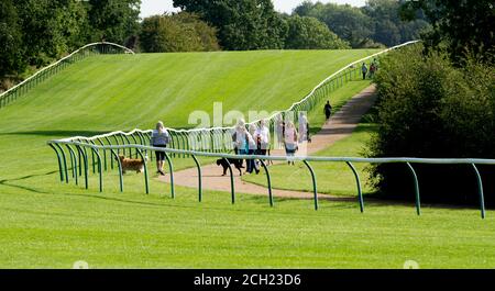 Menschen trainieren und gehen Hunde auf Warwick Racecourse während der 2020 Covid-19 Pandemie, Warwickshire, England, Großbritannien Stockfoto