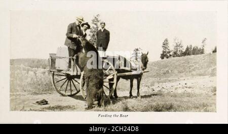 . Nach Geyserland: Union Pacific-Oregon Short Line Railroad zum Yellowstone National Park: Verbindung mit transkontinentalen Zügen von allen Punkten Ost und West von dort durch den Park durch die vier-Pferd Concord Trainer der M-Y Stage Company . Stockfoto