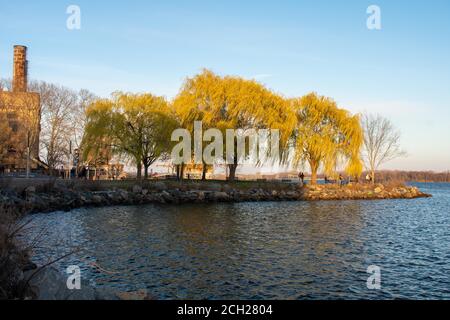 Blick über einen kleinen Teil des Deleware River Grüne Bäume im Sonnenuntergang Licht in der neu renovierten Penn Treaty Park Stockfoto