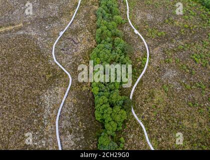 Luftaufnahme des Red Moss Naturreservats, Balerno, Midlothian. Stockfoto