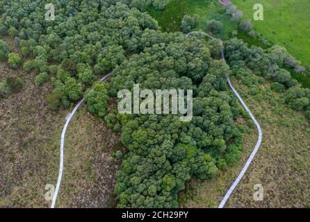 Luftaufnahme des Red Moss Naturreservats, Balerno, Midlothian. Stockfoto