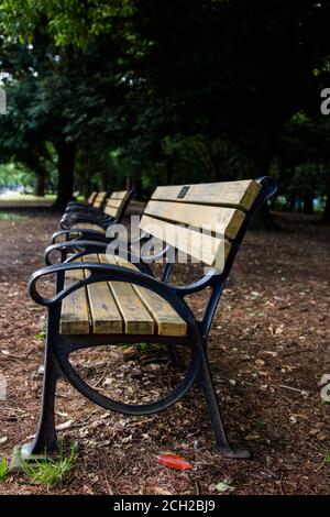 Leere Bänke und Bäume im Yoyogi Park im Bezirk Shibuya in Tokio Japan. Stockfoto