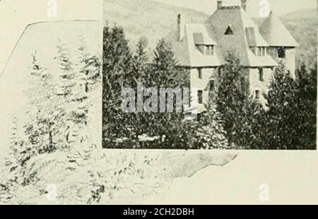 . Das Zentrum von Maine. Ein Tagebuch der Reise. Modernes Hotel theTyn-y-coed, von denen Herr John A.Sherlock, auch von der Berkley Boston, ist Eigentümer und Manager. Die Insel Campobello ist malerisch mit Höhlen und Klippen, gewundenen Straßen und Wäldern, ganz wie seine riesigen Nachbarn, weiter draußen in der Bay of Fundy, wenn auch im Miniaturformat. Campobello und Deer Isle sind die größeren der Inseln, die das Meer von der Passamaquoddy Bay absperren. Die Aussicht vom Hotel ist bezaubernd. Die Sommertemperatur ist sehr gut und das ruhige, raffinierte gesellschaftliche Leben des Ortes macht die Insel Campobello sehr schön Stockfoto