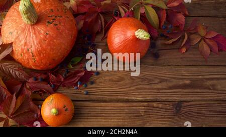 Herbsthintergrund - kleine orange Kürbisse mit roten Blättern auf einem dunklen Holztisch. Draufsicht, Banner und Danksagungskonzept. Stockfoto