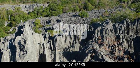 Atemberaubende Felslandschaft von Tsingy de Bemaraha, Madagaskar. Tsingy Nature Strict Reserve. Panorama der einzigartigen unberührten Natur. Malerische Felsformationen. Stockfoto