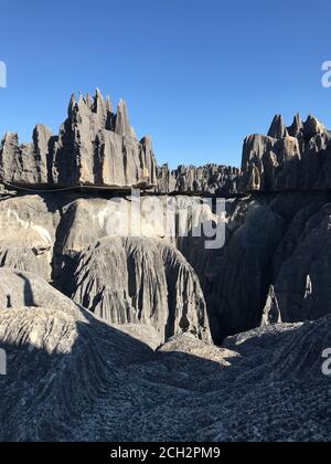 Tsingy de Bemaraha Naturschutzgebiet in Madagaskar. Unglaubliche Landschaft des Nationalparks Tsingy. Blick auf Stone Forest. Kalksteinfelsen. Felsiges Labyrinth. Stockfoto