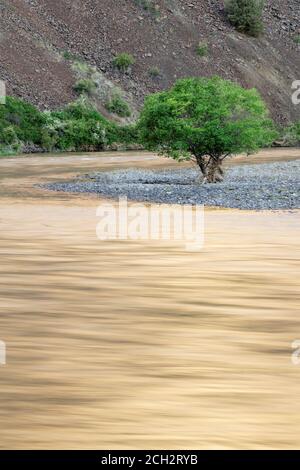 Der John Day River fließt durch den Wüstenschlucht im Norden von Oregon, Oregon, USA Stockfoto