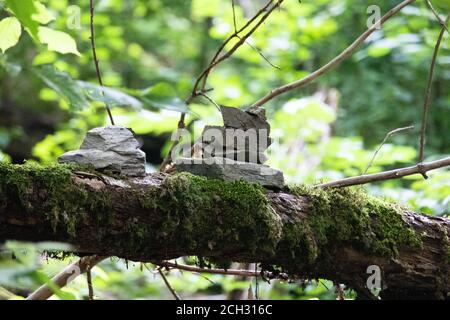 Ein Steinhaufen steht übereinander. Mysteriöses Ritual. Meditation und ruhige Kontemplation. Spiritueller Hintergrund Stockfoto