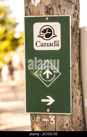 Schild des Bruce Trail von Niagara Falls nach Tobermory, Bruce Peninsula, Ontario, Kanada. Melden Sie sich im Wald an Stockfoto