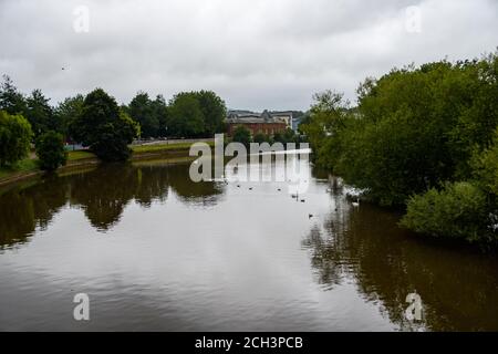 Schwäne und Möwen auf dem Wasser des Flusses exe In Exeter Stockfoto