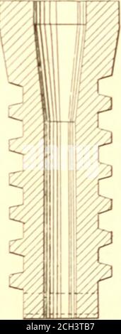 . Querbinderformen und Schienenbefestigungen mit besonderer Bezugnahme auf behandelte Hölzer. FL&lt;;. .W. – sr-n-w &lt;low.-l.-i. in der Gesichtsansicht und im LON^itudinal-Abschnitt dargestellt. Bui. 50, Bureau of Forestry, U. S. Deptftf Landwirtschaft. Platte V. Stockfoto