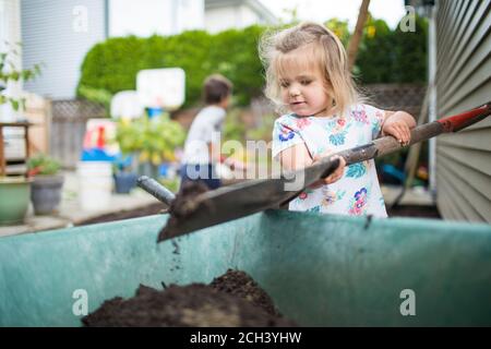 Nettes Mädchen schaufeln Schmutz in Schubkarre im Hinterhof. Stockfoto