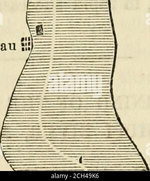 . Lloyd's Dampfschiff Verzeichnis, und Katastrophen auf den westlichen Gewässern . Kap Girardeau ;!ij. Stockfoto