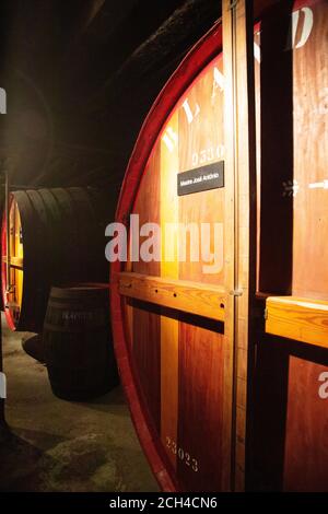 Fässer Madeira Wein bei Blandy's in Madeira, Portugal Stockfoto