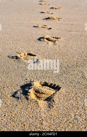 Perspektivischer Blick auf menschliche Fußabdrücke, die an einem tropischen Sandstrand entlang wandern. Stockfoto