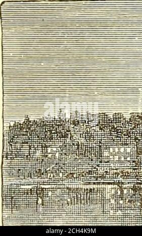 . Routen und Preise für Sommertouren ... 1888 . . Von Prospect, eine Meile weiter, präsentiert sich ein weiterer Blick auf Trenton Falls. Vom Zug aus sehen wir links viele Füsse unter uns, den Cincinnati Creek und die Parkers Mühle. Der Blick von diesem Punkt aus auf die Cincinnati-Allee in Richtung Trenton Village, gilt als einer der schönsten im Bundesstaat New York. Von Remsen, Alder Creek und BoonviUe, gehen große Zahlen jährlich in die North Woods, die Fulton Chain of Lakes, John Browns Tract und die Adirondack Region, die, von theirexcellent Angeln und Jagen, gewesen sind Stockfoto