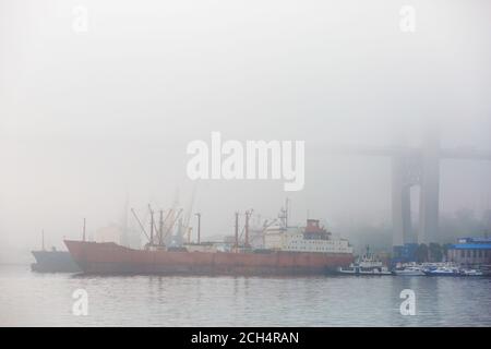 Verschiedene Handelsschiffe stehen auf der Straßenstead in der Golden Horn Bay in Wladiwostok bei starkem Nebel Stockfoto