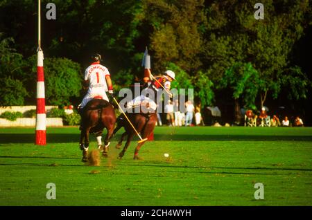 Polo-Spieler in Aktion im Campo de Polo in Buenos Aires, Argentinien Stockfoto