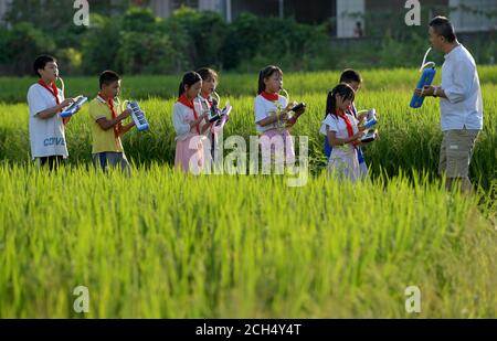 Peking, Chinas Provinz Jiangxi. September 2020. Der Musiklehrer Yang Hao (1. R) hält eine wöchentliche Feldschulung für Mitglieder der Melodica-Band der Yantian Primary School in der Gemeinde Gaocun, Bezirk Wanzai, Provinz Jiangxi in Ostchina, am 3. September 2020 ab. Quelle: Peng Zhaozhi/Xinhua/Alamy Live News Stockfoto