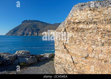 Die Fossilien Klippen und Bischof und Clerk auf Maria Island Stockfoto