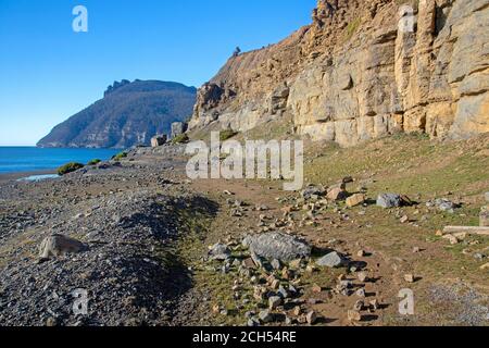 Die Fossilien Klippen und Bischof und Clerk auf Maria Island Stockfoto